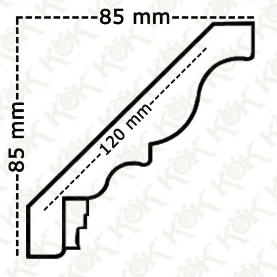 1511-405 Kartonpiyer Taç Ayous